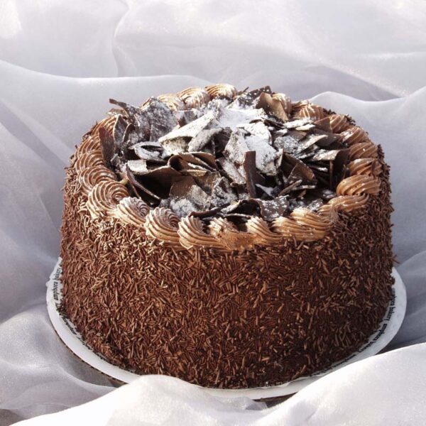 Chocolate Raspberry Cake