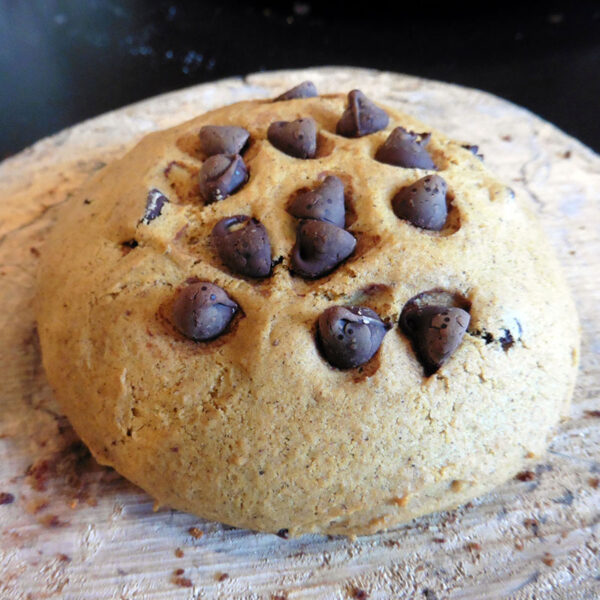 Pumpkin Chocolate Chip